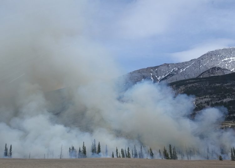 Mežu ugunsdrošībai ir risinājumi