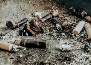 IDB par cigarešu kontrabandu lielā apmērā aizturējis Valsts robežsardzes amatpersonu