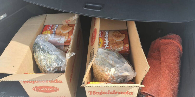 Par narkotisko vielu realizāciju lielos apmēros Valsts policija aiztur divus vīriešus, pie kuriem atrod 20 kilogramus marihuānas