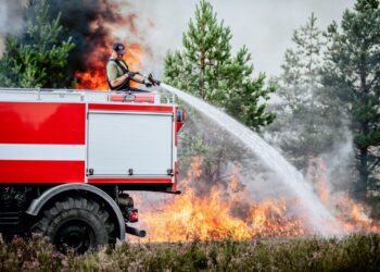 Noslēdzas meža ugunsnedrošais periods; Šosezon 11 ļaunprātīgas meža dedzināšanas