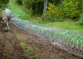 Valsts meža dienests sadarbībā ar medniekiem apzina dzīvnieku pārvietošanās ceļus uz Latvijas-Baltkrievijas robežas