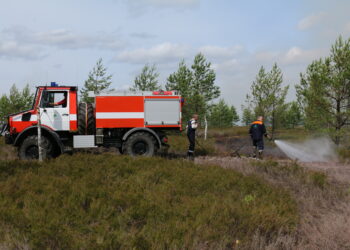 Beidzas meža ugunsnedrošais laikposms, šogad bijis mazāk meža ugunsgrēku nekā pērn