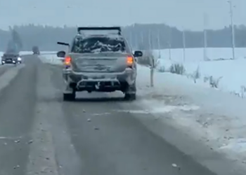 Valsts policija par nelikumīgām medībām aiztur vīrieti, kurš šāva uz zvēriem no automašīnas