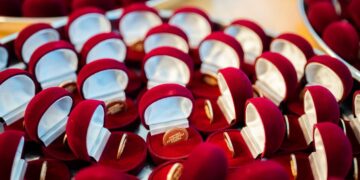 Turību absolvēs pirmie organizācijas drošības vadības speciālisti