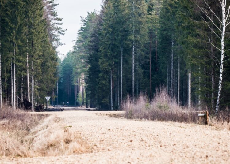 Anna Jansone aizvien meklēšanā; bērns miris no zīdaiņu pēkšņās nāves sindroma