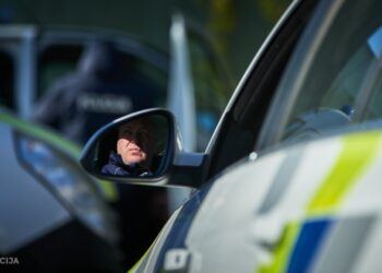 Pabeigta izmeklēšana kriminālprocesā par slepkavību Pārdaugavā Pabeigta izmeklēšana kriminālprocesā par slepkavību Pārdaugavā