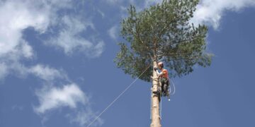 Arborista ieteikumi, kā aprūpēt piemājas kokus, lai vējā lūstoši zari nesabojātu īpašumu Arborista ieteikumi, kā aprūpēt piemājas kokus, lai vējā lūstoši zari nesabojātu īpašumu