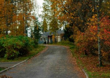 Tuvojas rudens vētra – kā pasargāt savu īpašumu no vēja postījumiem?