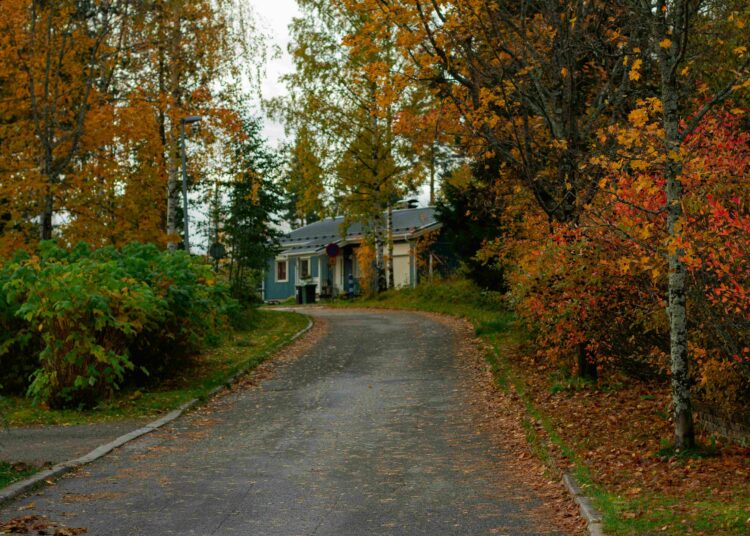 Tuvojas rudens vētra – kā pasargāt savu īpašumu no vēja postījumiem? Tuvojas rudens vētra – kā pasargāt savu īpašumu no vēja postījumiem?