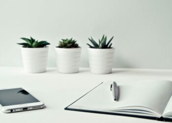 Izstrādātas vadlīnijas darba devējiem par valsts valodas nozīmi un svešvalodu prasībām darba vidē un darba sludinājumos (privātajā sektorā)