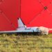 Defence Express: Kremlis jau kopš jūlija gatavoja dronu uzbrukumus Polijai Defence Express: Kremlis jau kopš jūlija gatavoja dronu uzbrukumus Polijai