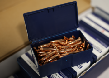 VDD rosina pret personu kriminālvajāšanu par mēģinājumu nogādāt Krievijā lielu daudzumu ložu VDD rosina pret personu kriminālvajāšanu par mēģinājumu nogādāt Krievijā lielu daudzumu ložu