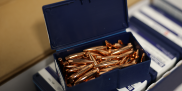 VDD rosina pret personu kriminālvajāšanu par mēģinājumu nogādāt Krievijā lielu daudzumu ložu